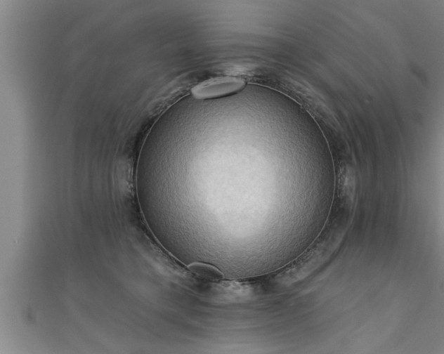 X0000111360421200907171208