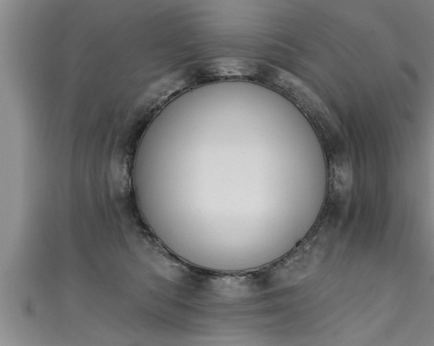 X0000111360422200907171208