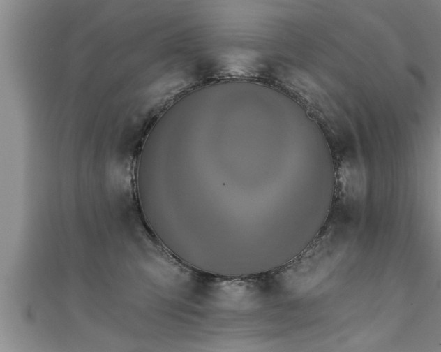 X0000111360423200907171208