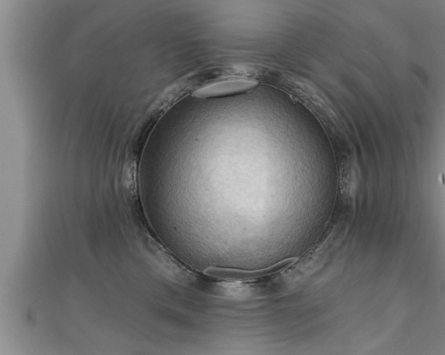 X0000111360425200907171208