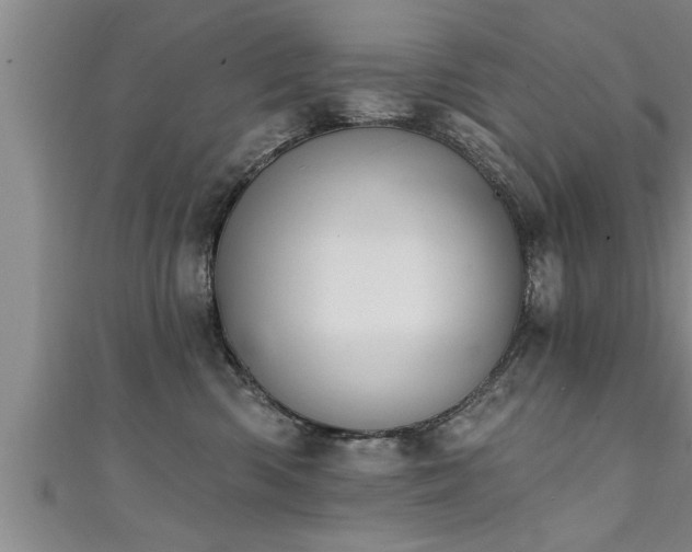 X0000111360426200907171208