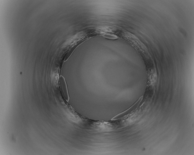 X0000111360427200907171207