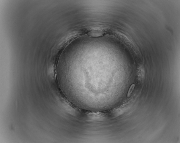 X0000111360428200907171207