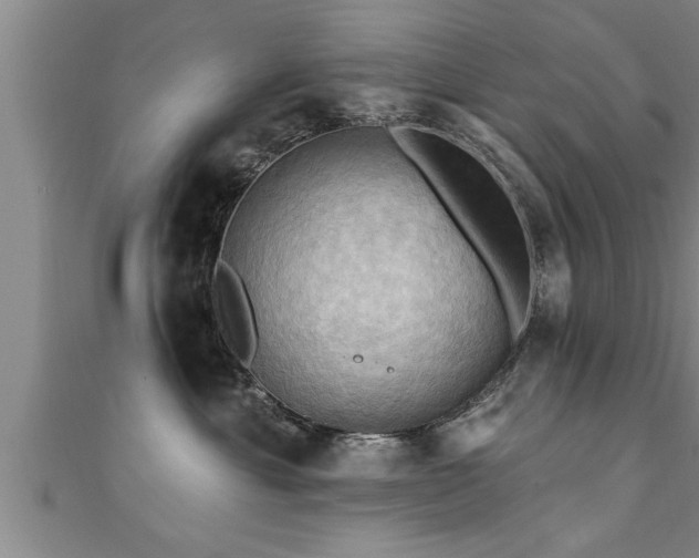 X0000111360429200907171207