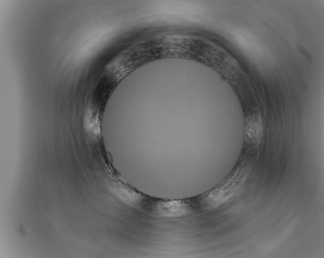 X0000111360431200907171207