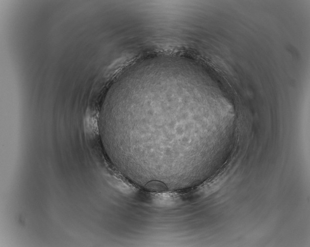 X0000111360432200907171207