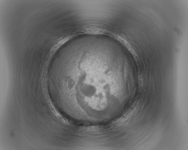 X0000111360433200907171207