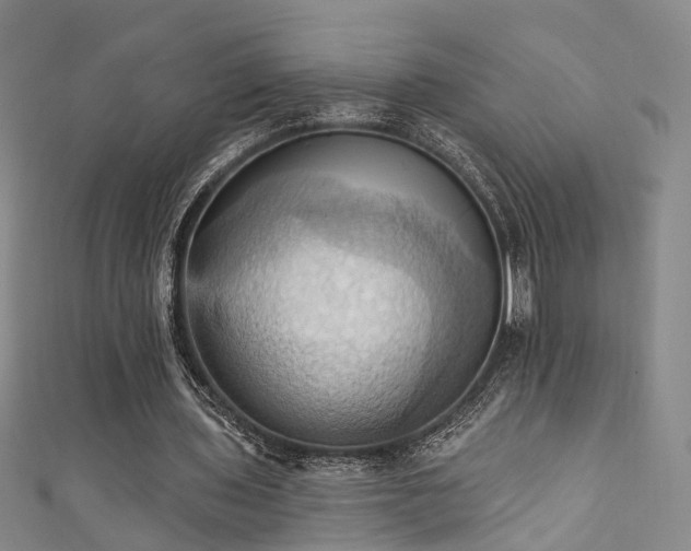 X0000111360435200907171207