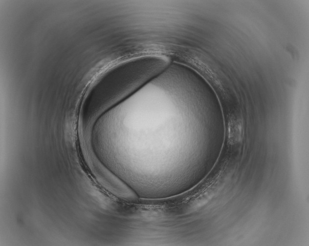 X0000111360436200907171207