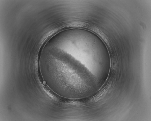 X0000111360437200907171207