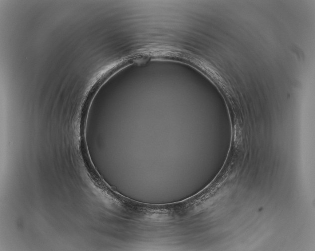 X0000111360438200907171207