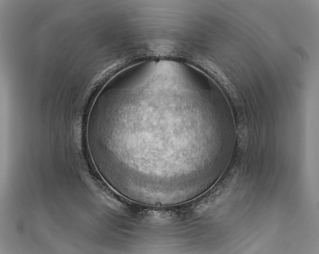 X0000111360442200907171207