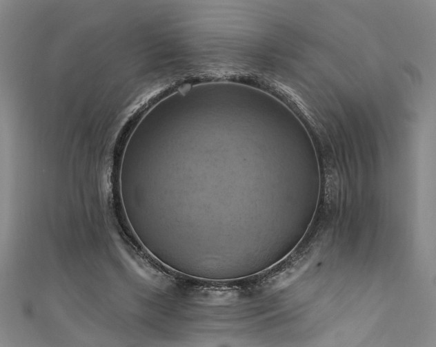 X0000111360443200907171207