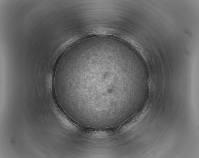 X0000111360445200907171207