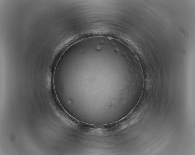 X0000111360446200907171207