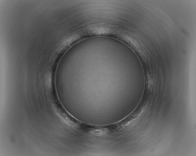 X0000111360447200907171207