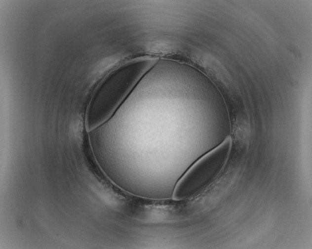X0000111360448200907171207