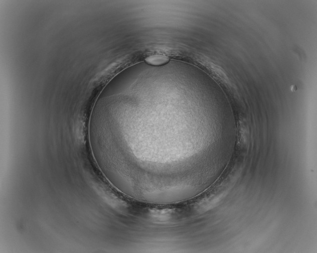 X0000111360450200907171207