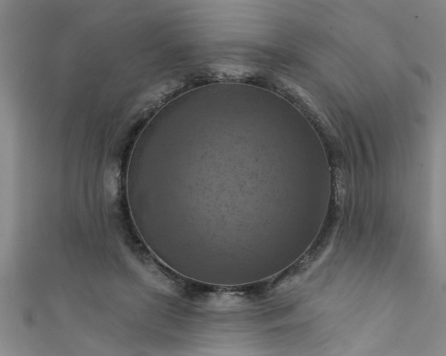 X0000111360451200907171207