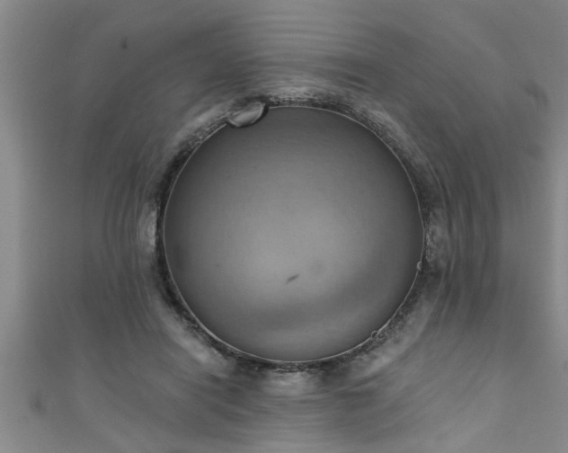 X0000111360454200907171207