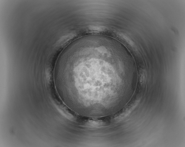 X0000111360455200907171207
