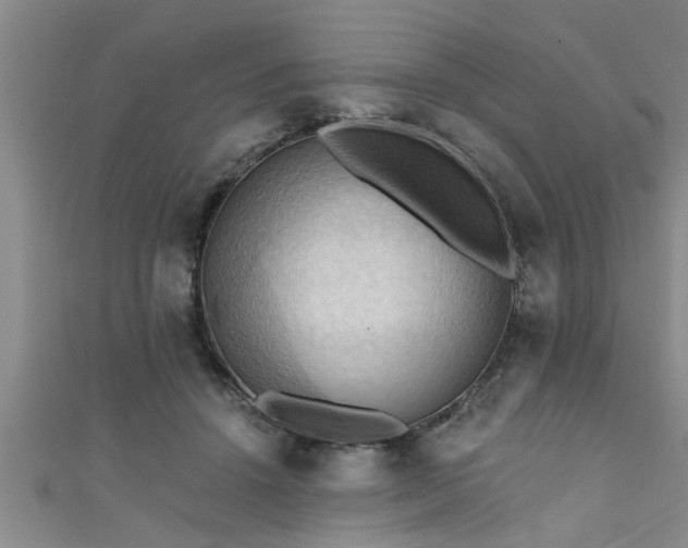 X0000111360456200907171207