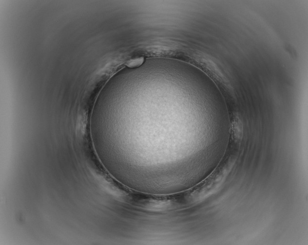X0000111360458200907171207
