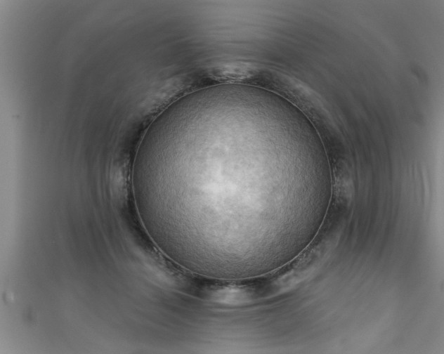 X0000111360460200907171207