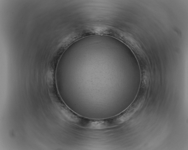 X0000111360461200907171207