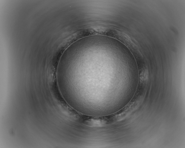 X0000111360464200907171207