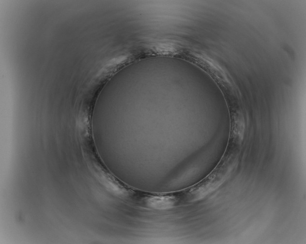 X0000111360465200907171207