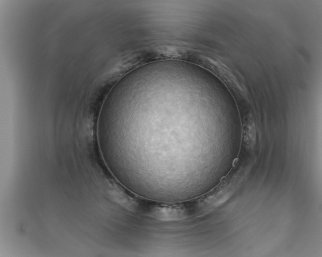 X0000111360466200907171207