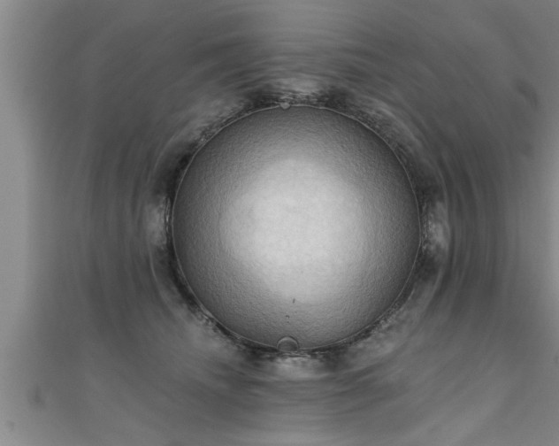 X0000111360468200907171207