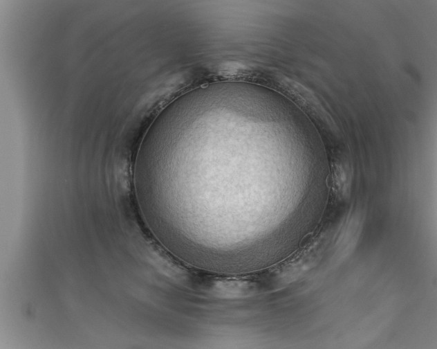X0000111360470200907171207
