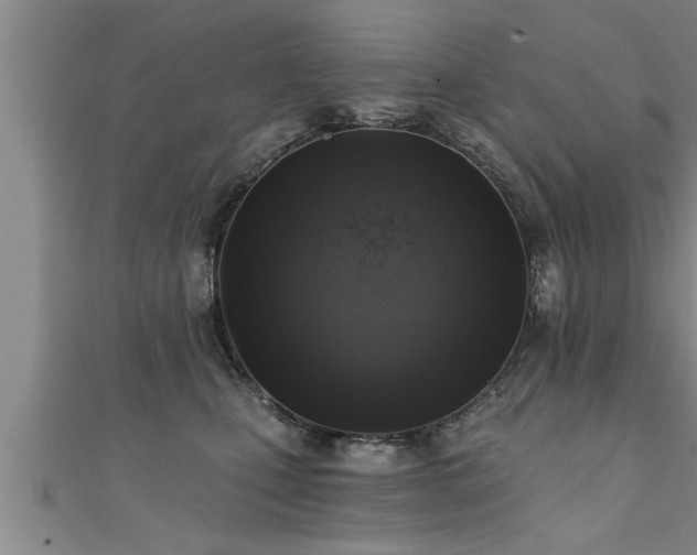 X0000111360471200907171207