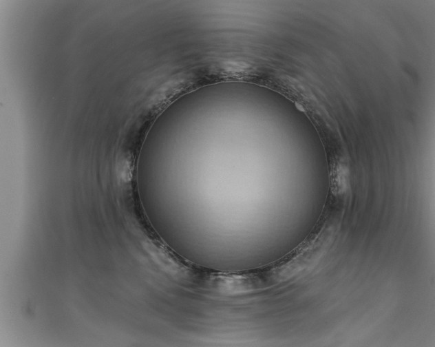 X0000111360472200907171207
