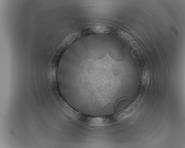 X0000111360473200907171207