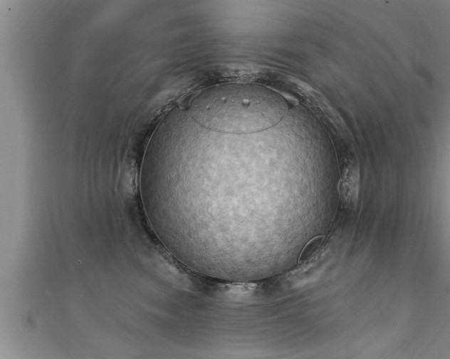 X0000111360474200907171207
