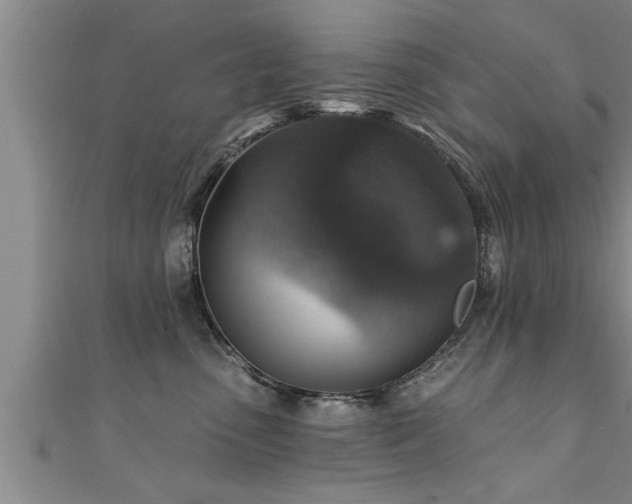 X0000111360475200907171207