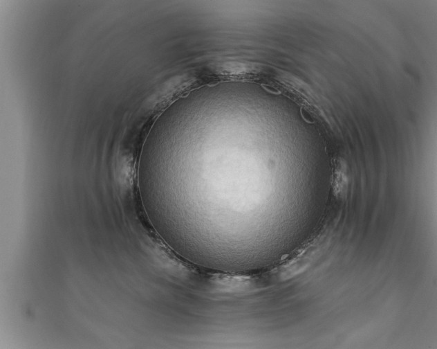 X0000111360476200907171207