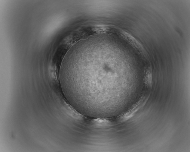 X0000111360477200907171207