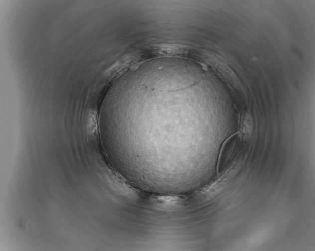 X0000111360478200907171207
