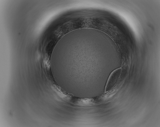 X0000111360479200907171207