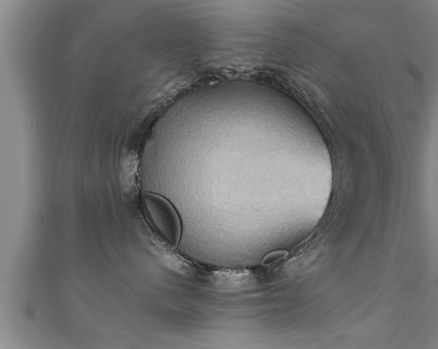 X0000111360480200907171207