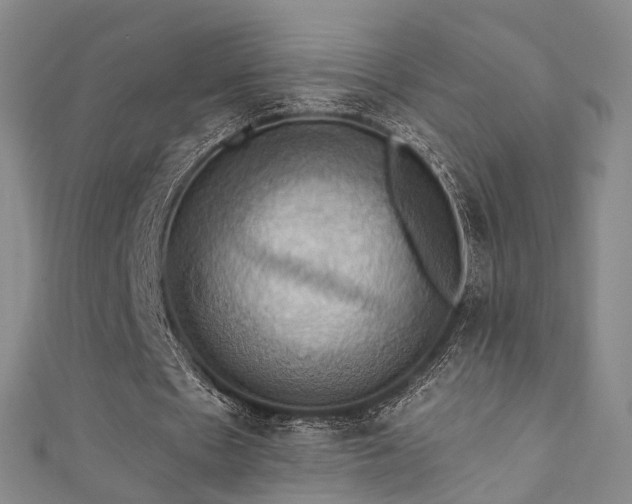 X0000111360481200907171207