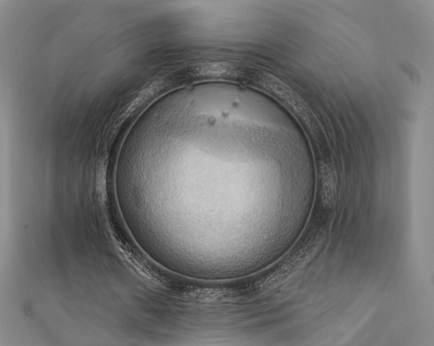 X0000111360482200907171207