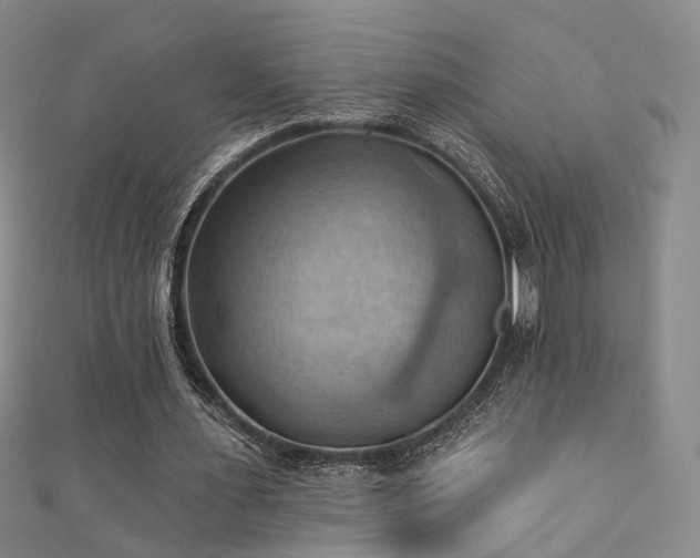 X0000111360483200907171207