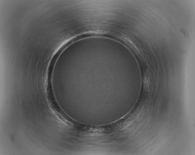 X0000111360484200907171207