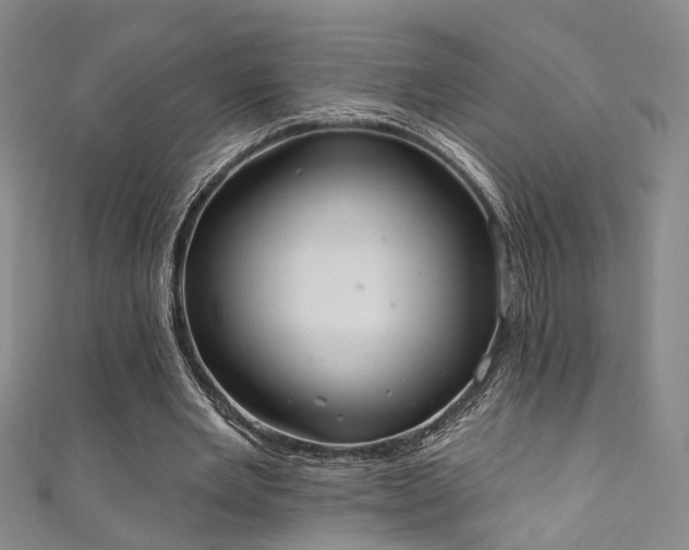 X0000111360485200907171207