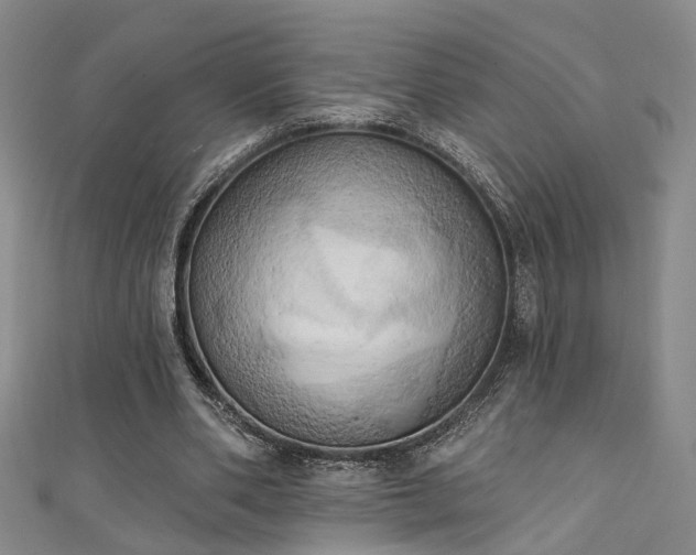 X0000111360486200907171207